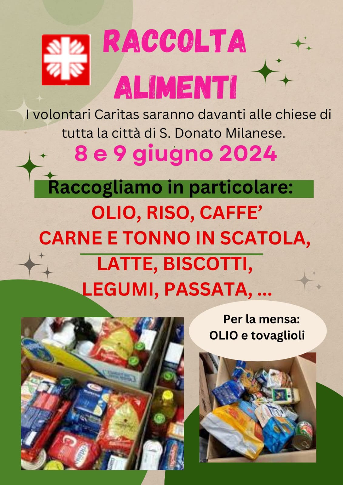 RaccoltaAlimenti890624